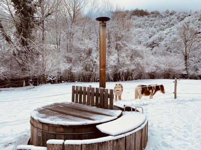 Chalet Le Fario, Bain Nordique Frechet-Aure 外观 照片